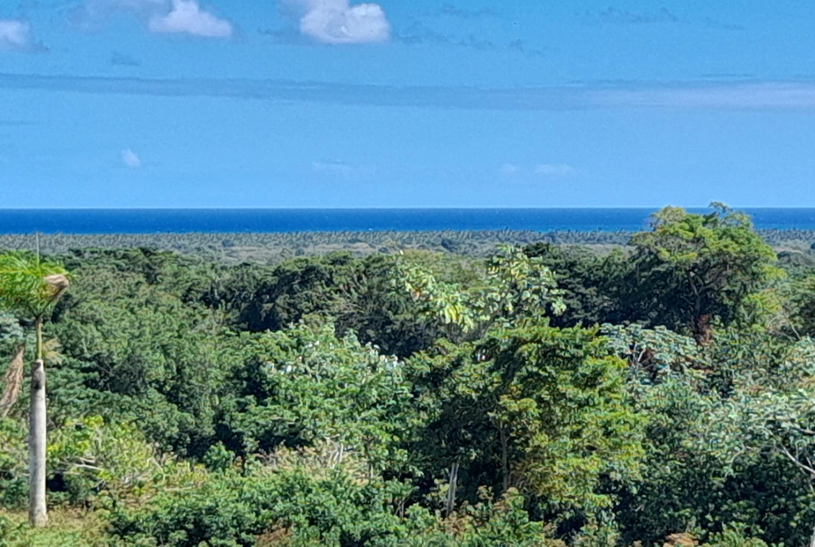 Inbleasure • Projects • The Reserve At Nisibon Ocean View