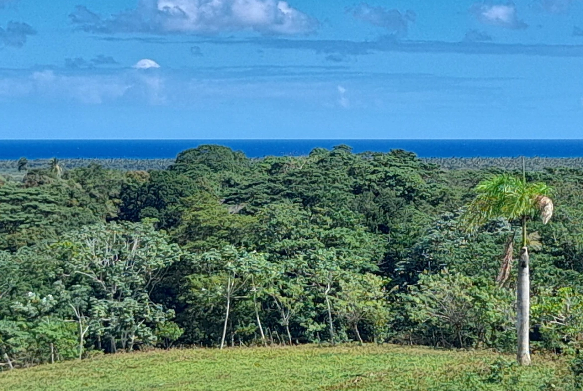 Inbleasure • Projects • The Reserve At Nisibon Ocean View