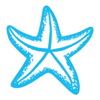 Star Fish